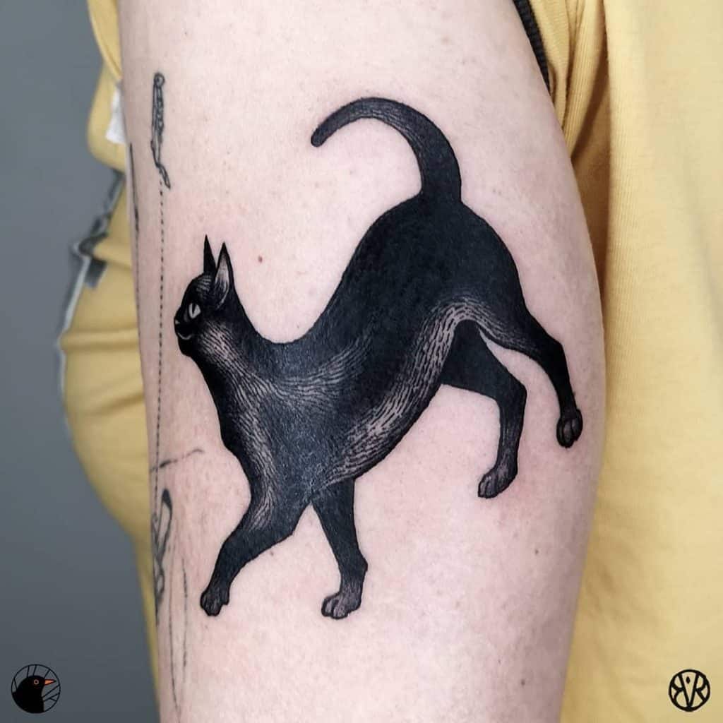 Black Cat Tattoos, saved tattoo, Arched 2