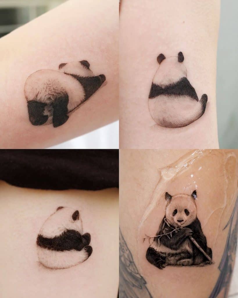 Panda Tattoos 1