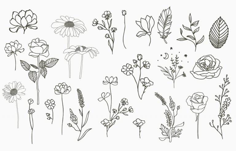 Jasmine Flower Tattoo: 30+ Best Design Ideas (2023 Updated)