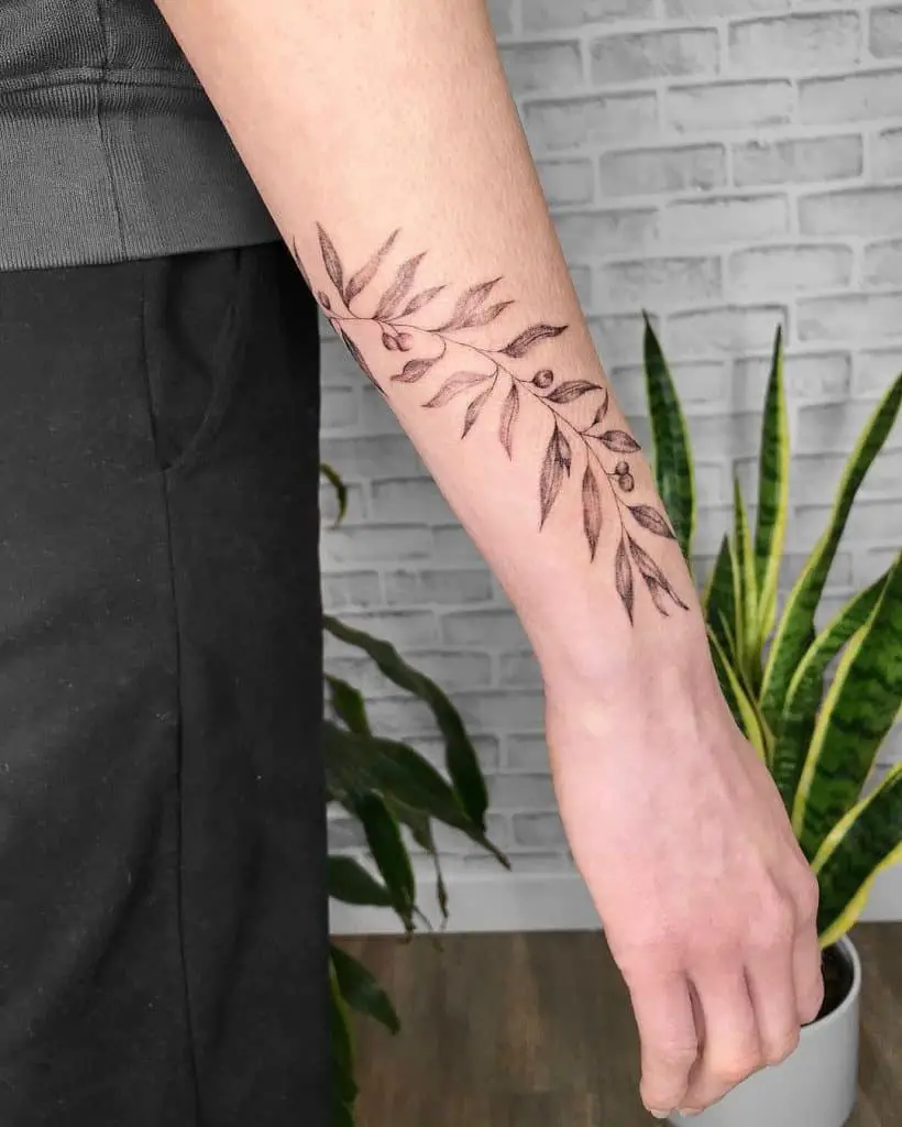 Olive branch tattoo on the forearm