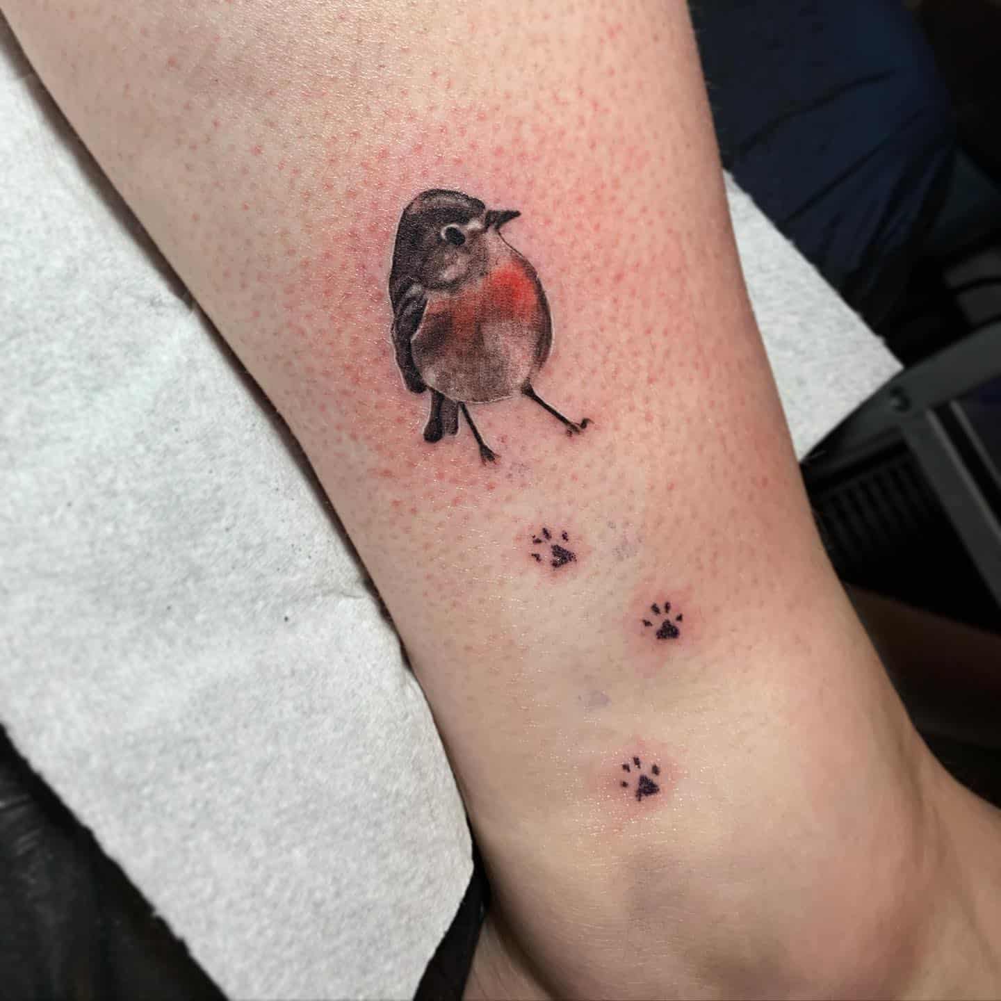 Robin Tattoo Meaning 1