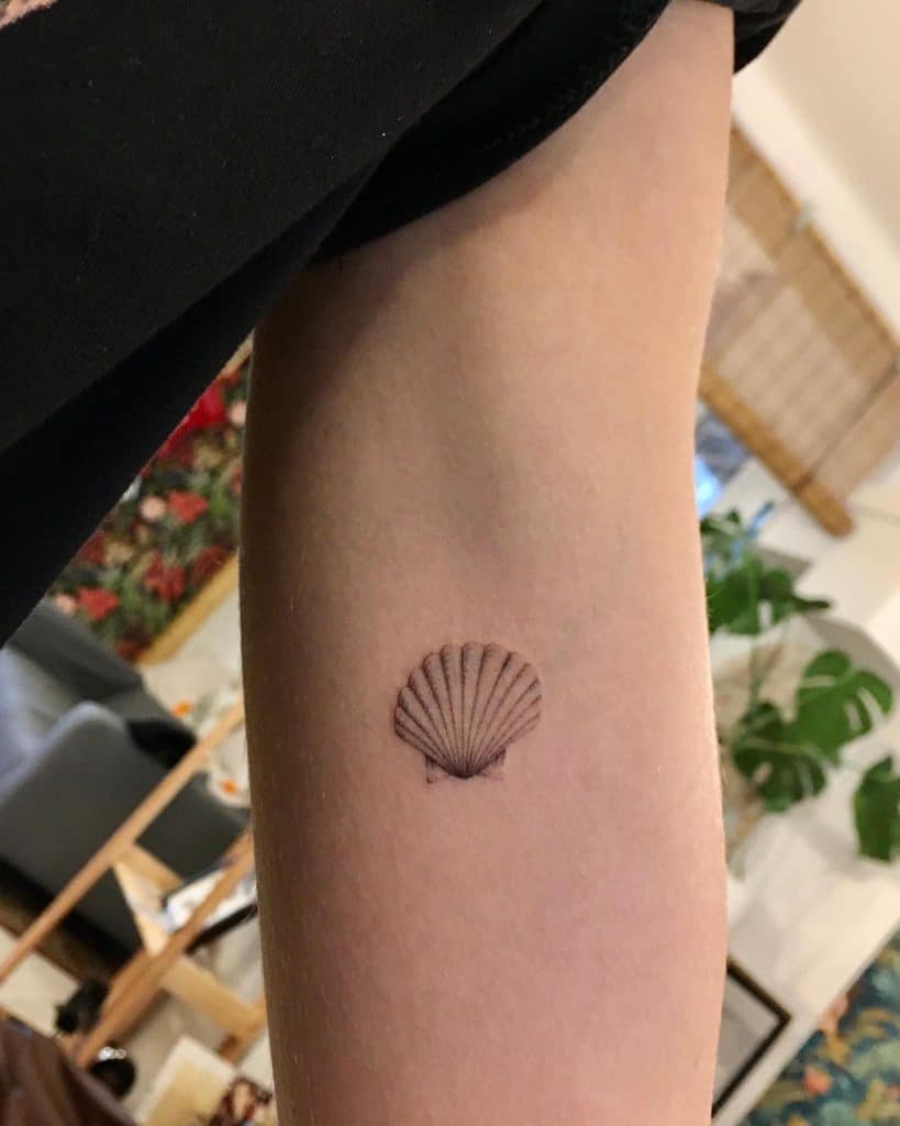 Seashell tattoo with big meanings 1