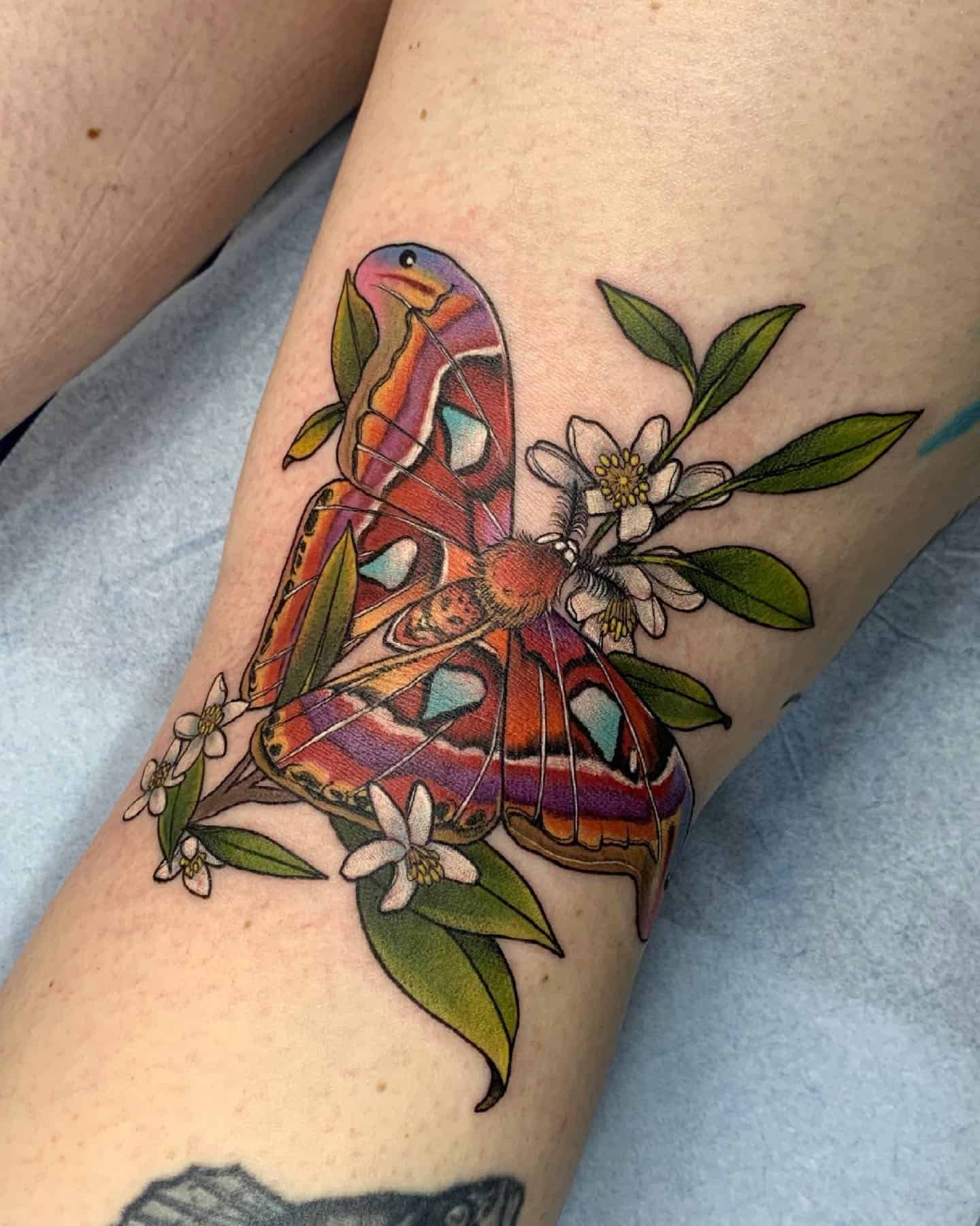 Butterfly Behind the Knee