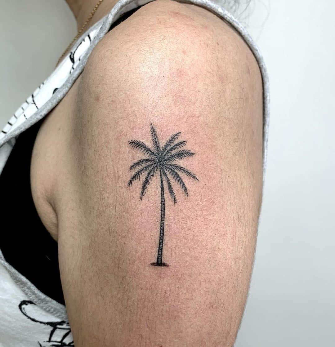 Palm Tree Tattoo On The Shoulder 1
