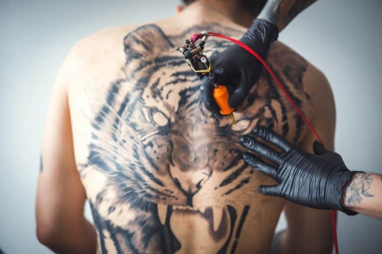 30+ Best Tiger Tattoos: Check These Stunning Design Ideas (2023 Updated)
