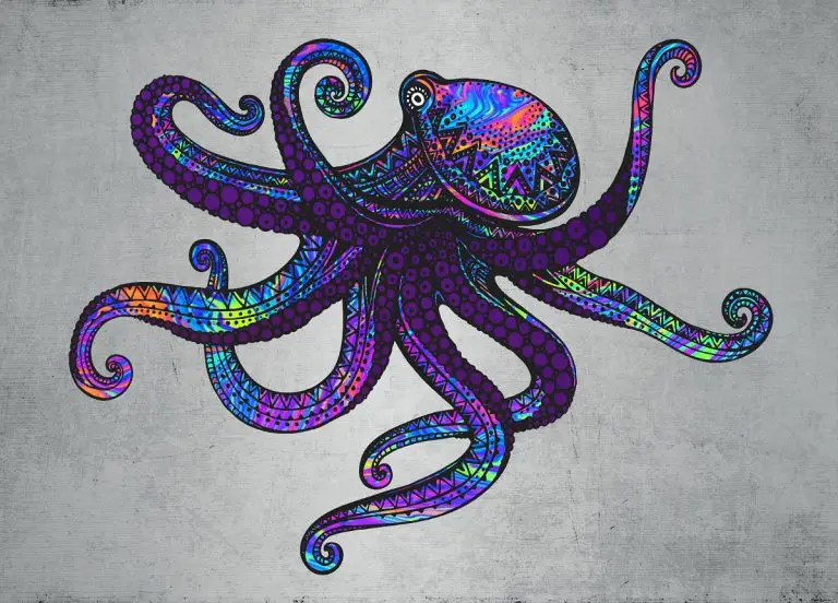 40+ Trending Octopus Tattoos In 2023: Creative Skin Drawings To Get Inked