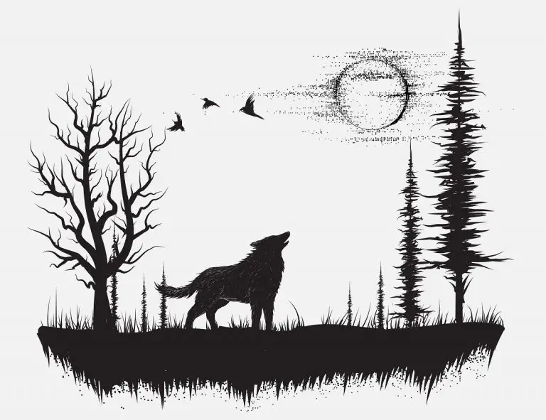 30+ Outstanding Forest Tattoo Design Ideas 2023 (Black & White, Colorful)