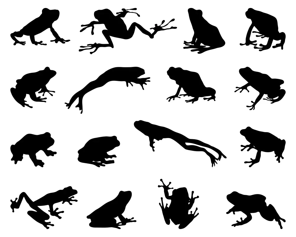 Types Of Frog Tattoos