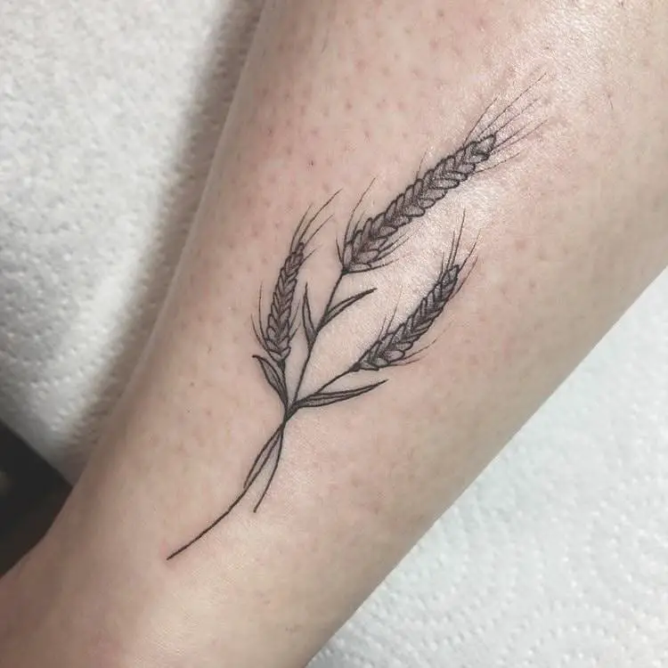 Wheat Tattoo 2