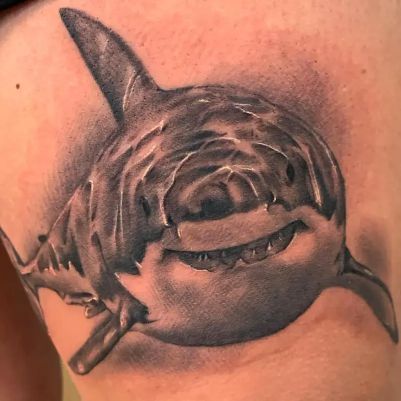 Friendly White Shark Tattoo Design