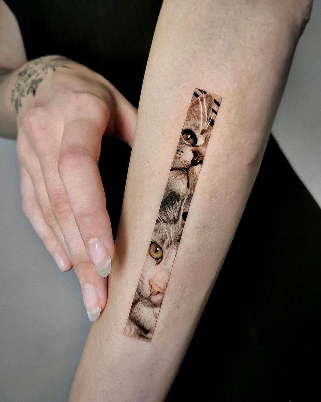 Realistic Cat Tattoo On Arm