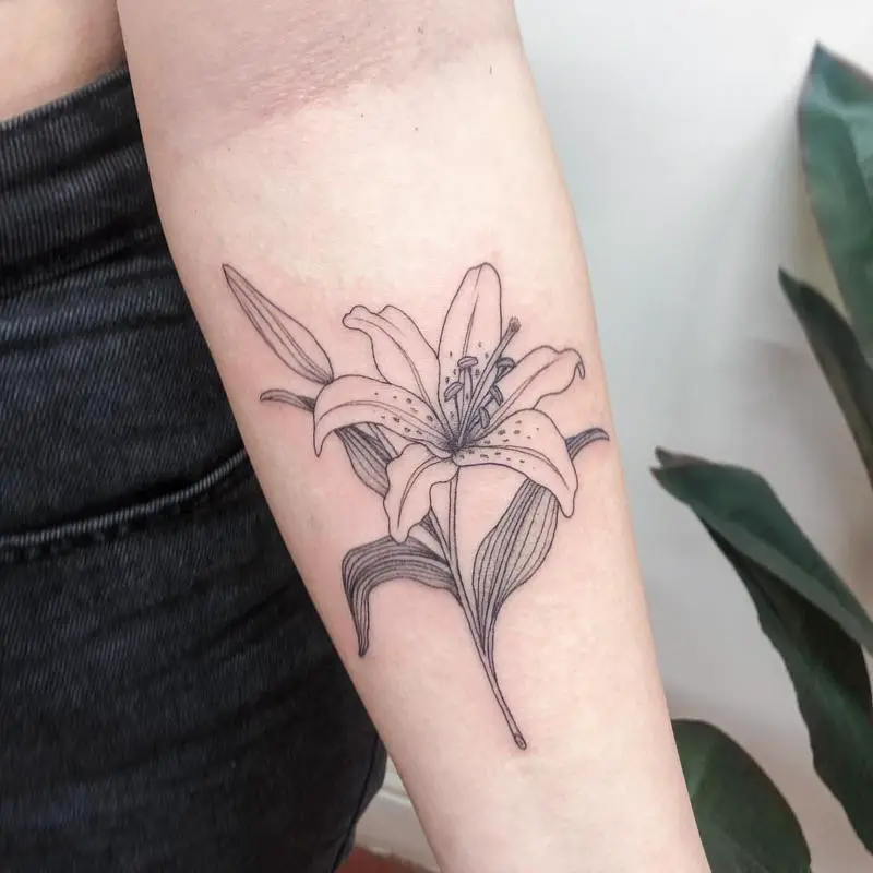 Lily Tattoo Meaning